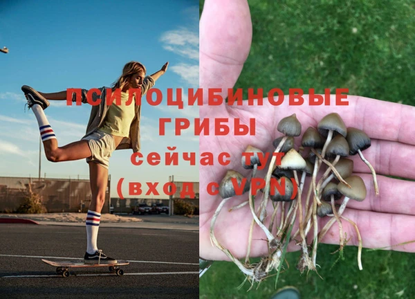 COCAINE Белокуриха